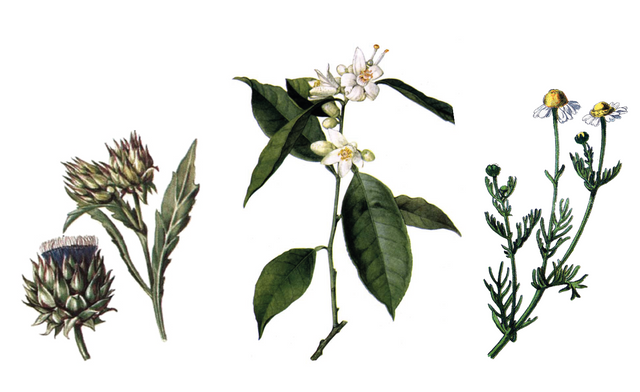 Less is more: Skinimalism