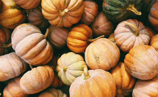 EHBH | Eerste Hulp Bij Herfst