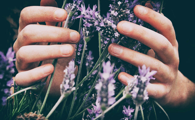 AbbeyLAB, dat is handgemaakt natuurlijke huidverzorging. All natural skincare op basis van kruiden. Geen chemicaliën, geen filler, puur natuur. #mooizonderpoeha